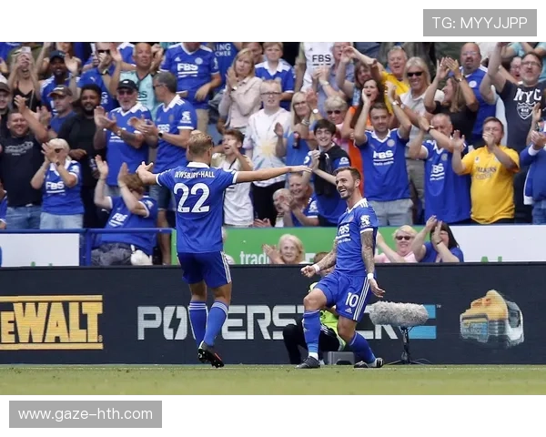 南安普顿足球俱乐部历史沿革与未来发展全景解析 南安普顿足球俱乐部历史沿革与未来发展全景解析