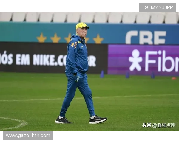 世界杯球队实力深度分析各队优势与挑战全面解读